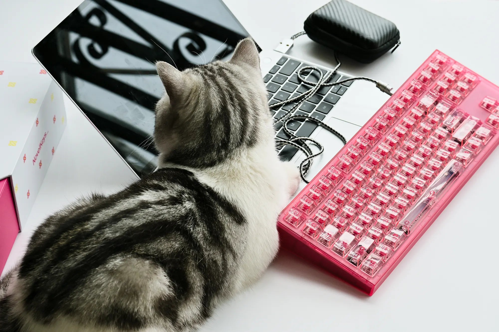 Asimov Cherry Profile Transparent Keycaps